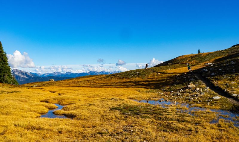 Bikers in the alpine with mountains in the background.