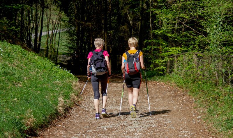 On aperçoit deux jeunes randonneurs de dos qui marchent dans un sentier avec des bâtons de marche