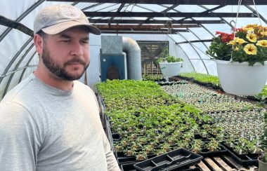 A man with a beard wearing a baseball cap is shown in a greenhouse with tables covered in small plants.