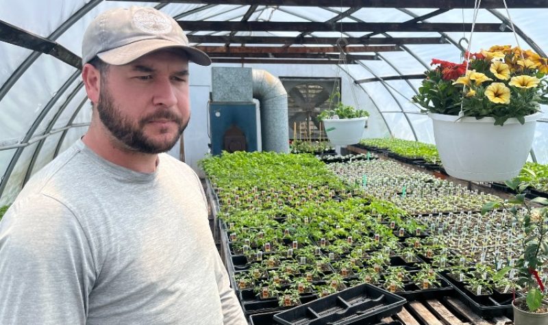 A man with a beard wearing a baseball cap is shown in a greenhouse with tables covered in small plants.