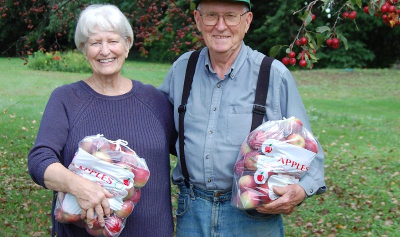A white haired woman wearing a purple sweater and a man wearing an Ontario Apples cap, blue shirt, jeans, and suspenders, both seniors, stand under a crabapple tree dotted with red crabapples. They each hold a bag of apples and have a wooden box of apples in front of them.