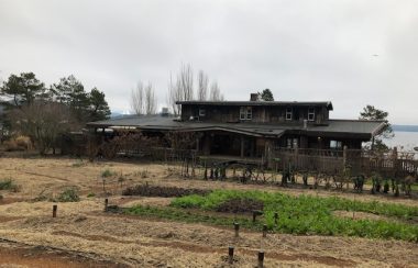 A winter scene showing the Hollyhock Learning and Leadership lodge with garden in the foreground.