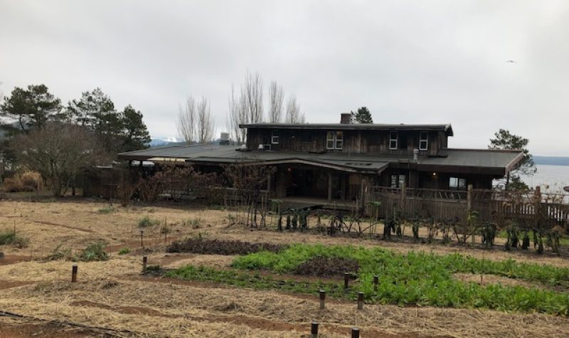 A winter scene showing the Hollyhock Learning and Leadership lodge with garden in the foreground.