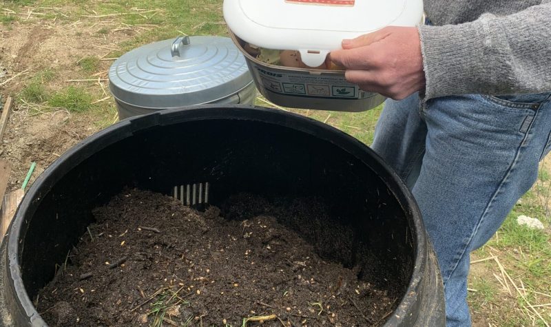 A small compost container being emptied into black backyard composter outdoor in a yard, garbage can in background