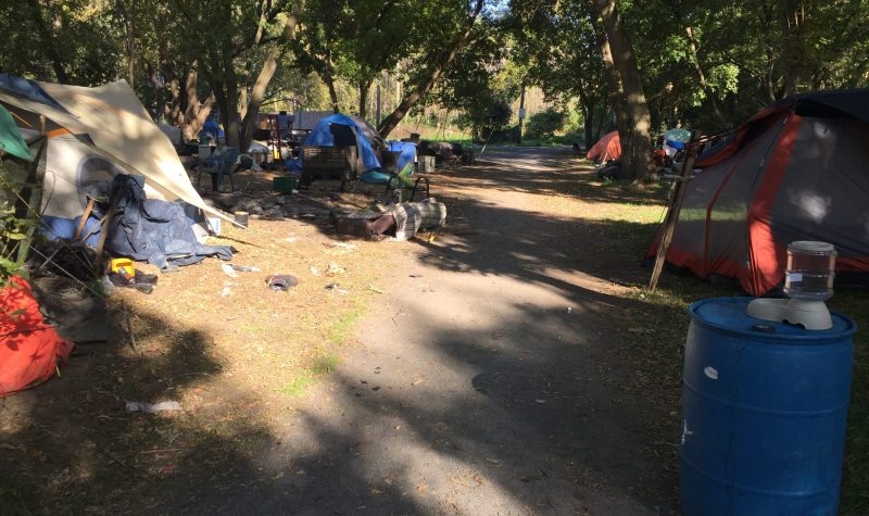 A row of tents set up on grass.