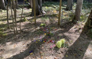 A mound of dirt with flowers placed on top. Trees behind.