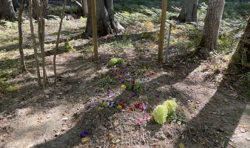 A mound of dirt with flowers placed on top. Trees behind.