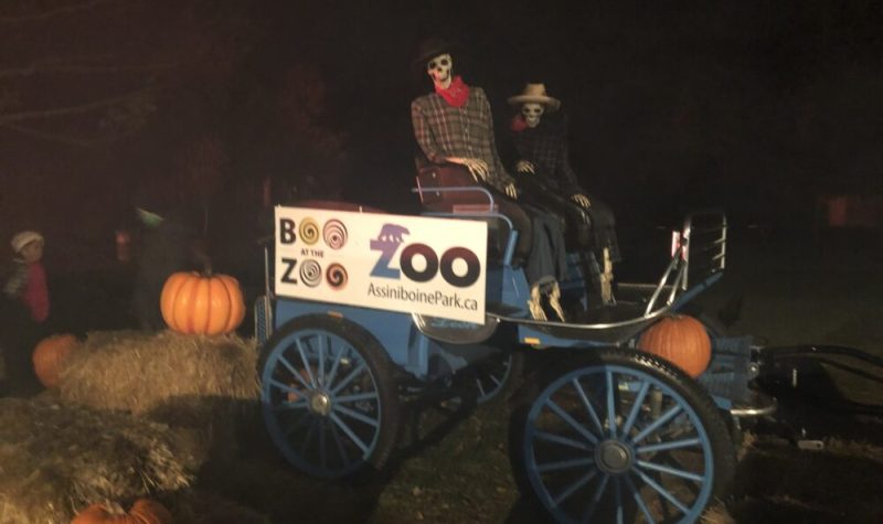 Une charette bleue avec une enseigne qui dit Boo at the Zoo est entourée de balles de foin et des citrouilles, et a deux squelettes assis à l'intérieur.