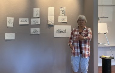 Woman lectures with several drawings pinned to the wall behind her.