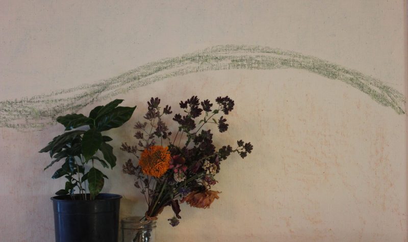 A living plant juxtaposed with a bouquet of dried flowers don the wall of the Cortes Playschool.