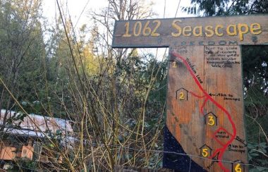 Sign signaling entrance to Treedom land partnership, with map of walking trails.