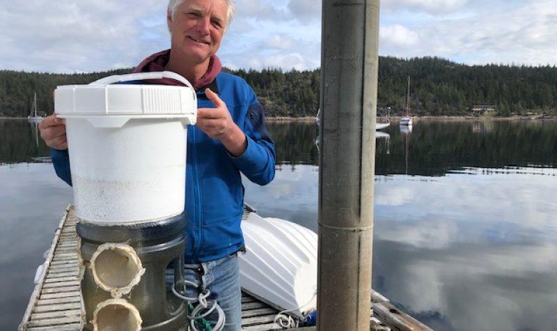 A man in a blue sweater stands on a dock holding a large bucket.