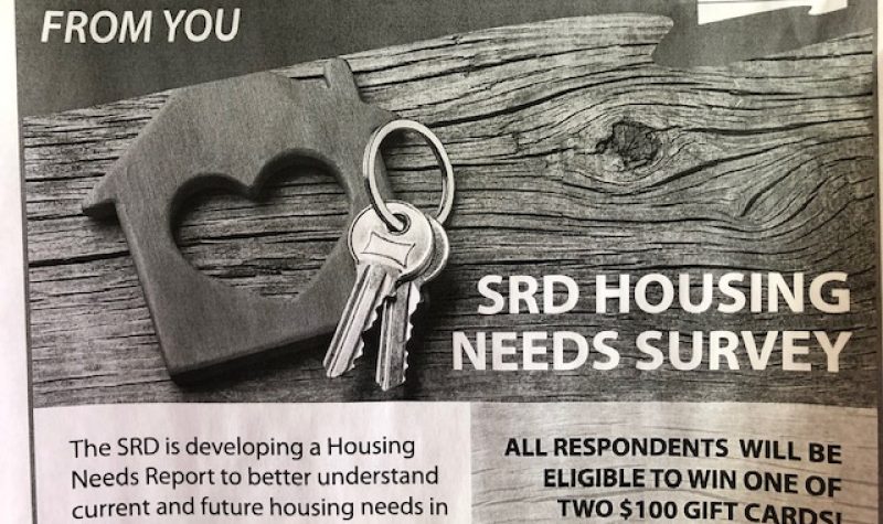 A grey and white poster advertising a housing survey shows an image of keys and heart within a model house displayed on a piece of driftwood.