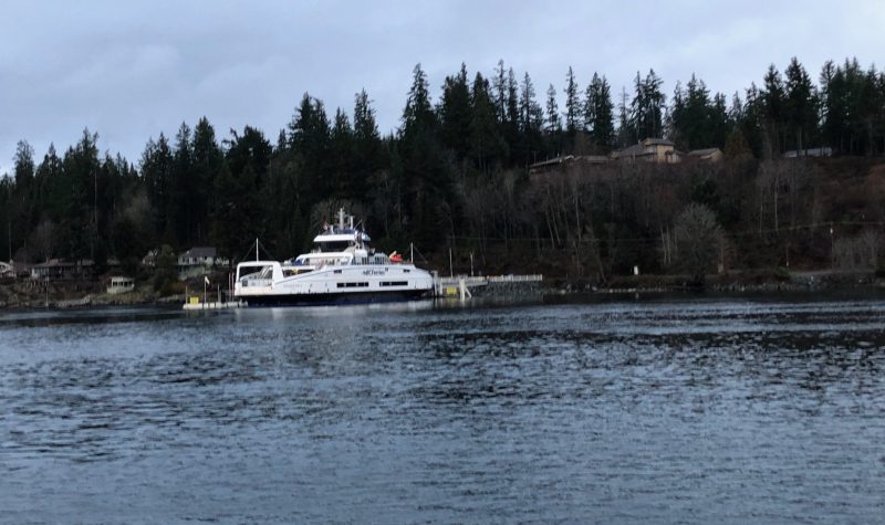 A large white and blue ferry boat sits at a dock with a forested background.