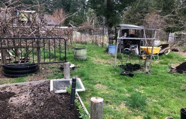 Garden plots and a garden shed and wheelbarrow set the scene in a grassy area.