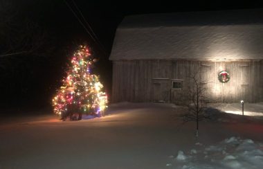 Un arbre de Noël tout décoré en avant d'une vieille grange.