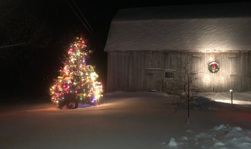 Un arbre de Noël tout décoré en avant d'une vieille grange.