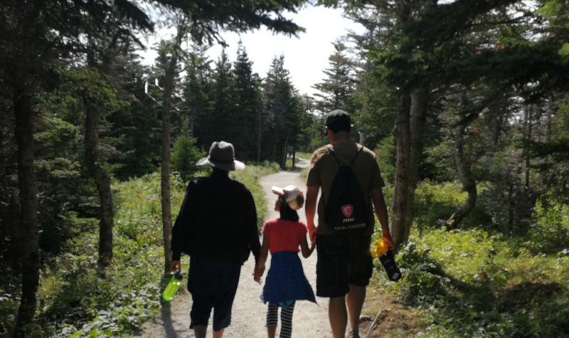 A woman, child, and man holding hands walking along a treed trail.
