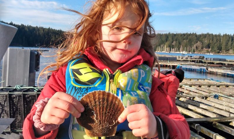 A young girl holds a scallop in Gorge Harbour, Cortes Island, on a sunny day.