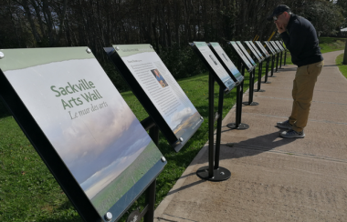 A row of plaques on black stands on the edge of a sidewalk next to a green lawn. A man halfway down the row leans over to read a plaque.