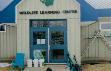 The learning centre at the Atlantic Wildlife Institute, with resident not-so-wild life, Luna.  Photo: Erica Butler