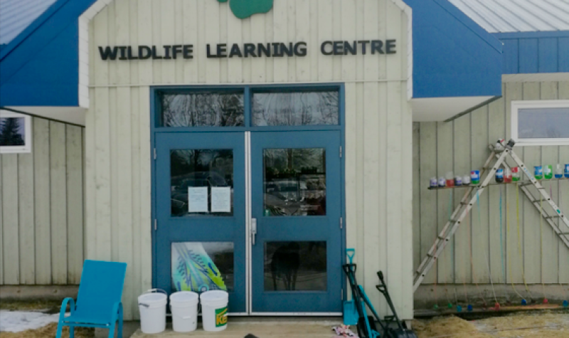 The learning centre at the Atlantic Wildlife Institute, with resident not-so-wild life, Luna.  Photo: Erica Butler