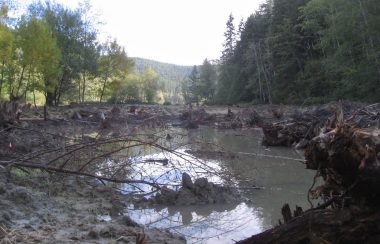 A pond within a freshly verturned landscape