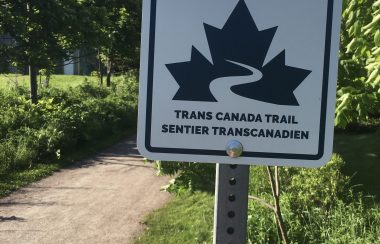 A sign with logo reading Trans Canada Trail, posted on a crushed gravel trail.
