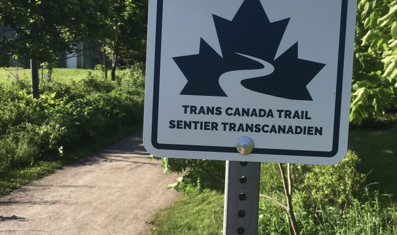 A sign with logo reading Trans Canada Trail, posted on a crushed gravel trail.