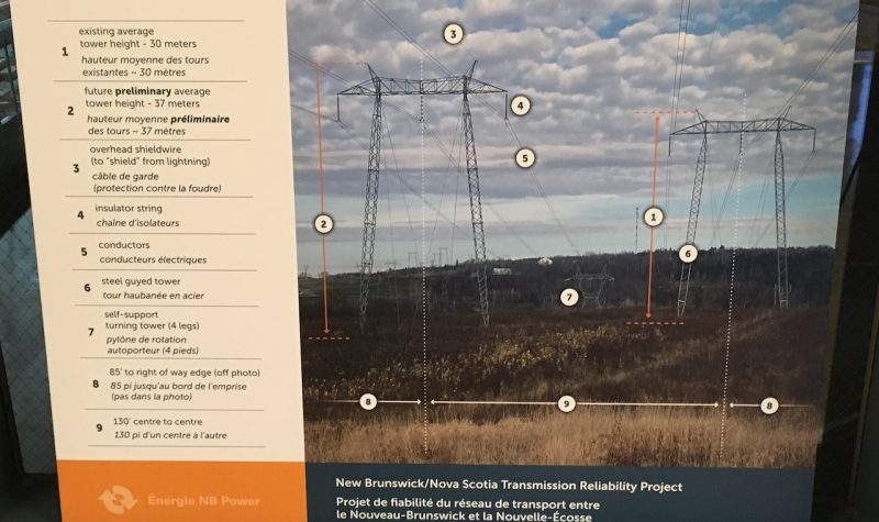 A panel showing an illustration of twinned transmission line corridor, with measurements and details.