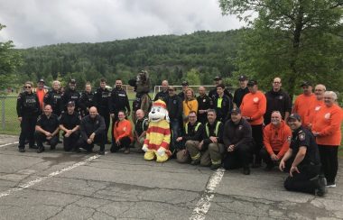 les forces de police et d'incendie prenant la pose en plan unique