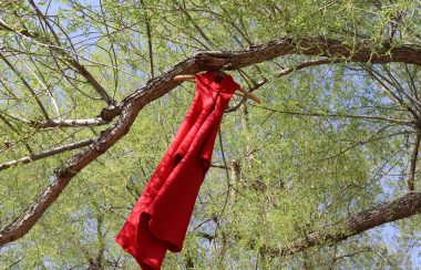A red dress hangs on the branch of a budding tree at Legacy Park in Fort Saskatchewan. Weather was clear.