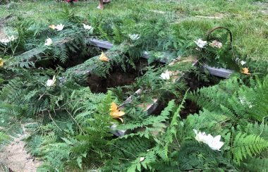 Ferns and flowers are arranged on top of wooden boards at the surface level of as yet unfilled grave.