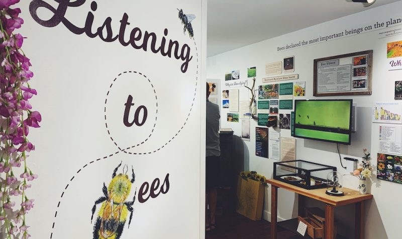Wall displaying the words Listening to Bees, beyond which are display cases and posters