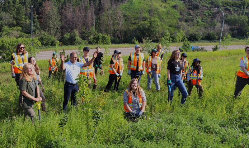 A group of people, featuring Mayor Amarjeet Sohi, city officials, and landscapers. stand on a hillside planting trees. Weather is clear.