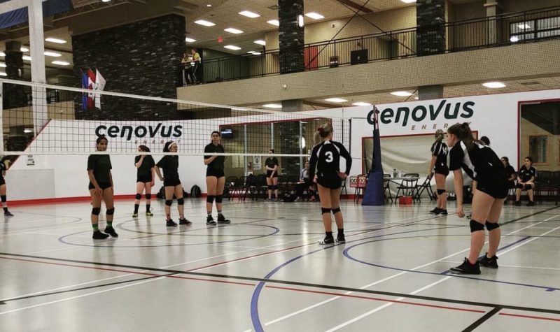 2 équipes féminines jouent au volley ball