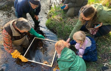 A small group of adults and kids gathers beside a stream to look at a mesh square with a metal frame containing juvenile fish.