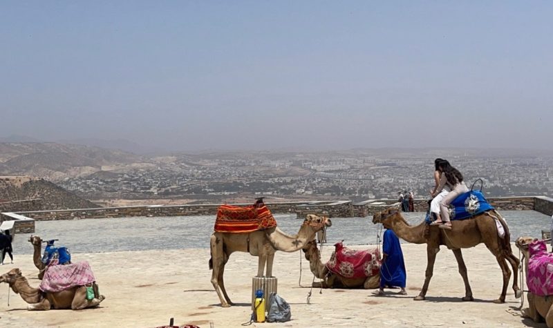 Cette photo montre la ville d'Agadir, au Maroc, dans son ensemble. Dans l'image, vous voyez quatre chameaux sous le soleil, allongés ou montés par un touriste.