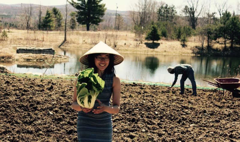 Stéphanie Wang standing in one of the fields at Le Rizen holding an organic Asian vegetable in hand. Behind her is a farmer working the field with a wheel barrow to the side.