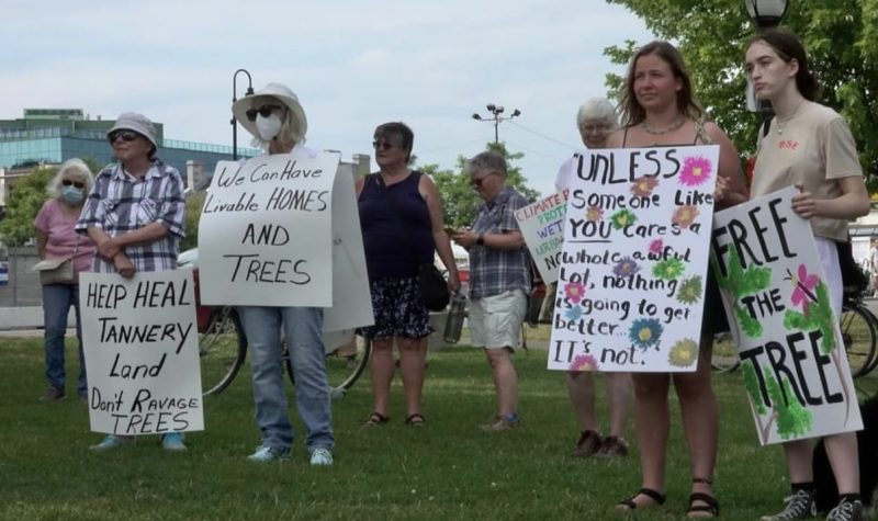 A group of people outside holding signs.
