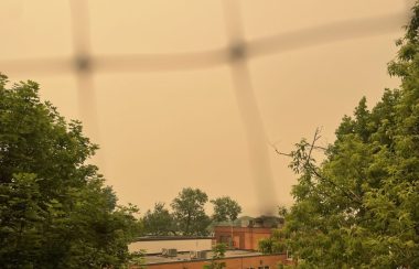 The sky in Kingston shrouded in a yellow and grey smokey haze. Trees and the top of a building take up the bottom portion of the frame.