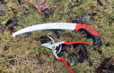 Red-handled pruning clippers and handsaw lie on the grass.