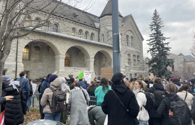 A large crowd is gathered outside of a tall, white stone building on a cloudy day. some people are holding signs with messages advocating for a ceasefire.
