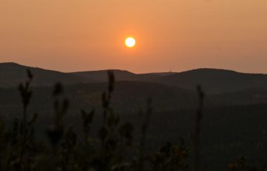 Soleil couchant de couleur orangée en raison de la fumée des feux de forêt sur la côte Ouest américaine. On y voit également les collines ainsi que les branches de certaines plantes en avant-plan.