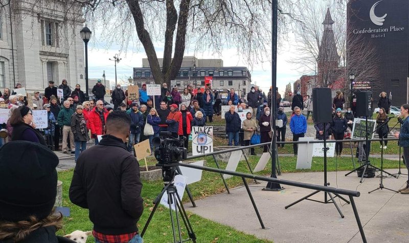 A group of protestors outside in Kingston on an overcast day.