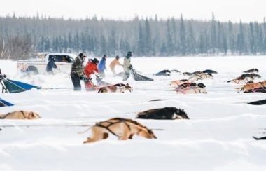 A wide shot of a bunch of sled dogs racing through heavy snow on a flat plain. Weather is fair