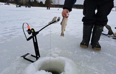 Main tenant une truite sur un lac gelé devant un trou de pêche sur glace