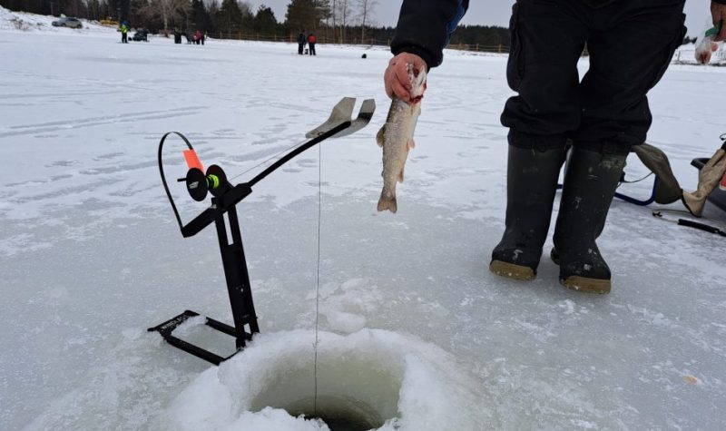 Main tenant une truite sur un lac gelé devant un trou de pêche sur glace