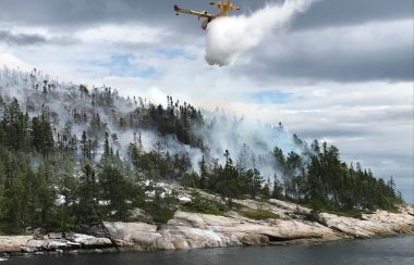 Un avion-citerne dans un ciel gris au dessus d'une forêt