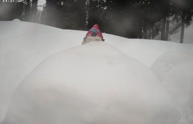 A closeup of a white snowbank with a gnome showing at the top of the bank. Only the eyes and red hat of the gnome is visible. There are trees behind the snowbank.